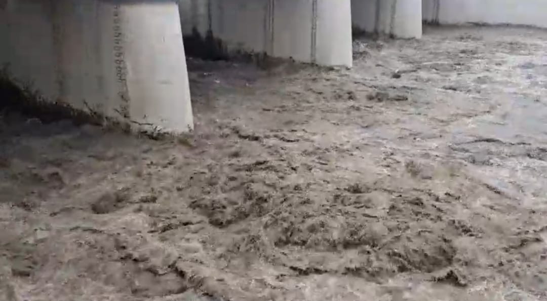 पहाड़ से लेकर मैदान तक लगातार हो रही बारिश से हरिद्वार में गंगा नदी का जलस्तर बढ़ा